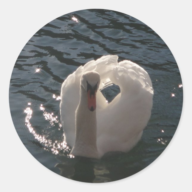 Pegatina Redonda Hermoso cisne blanco (Anverso)