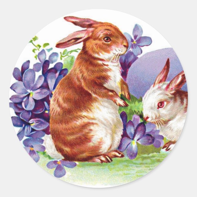 Pegatina Redonda Hermoso conejo de Pascua - conejillos y violetas (Anverso)