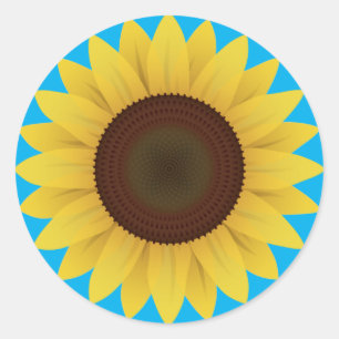Pegatina Redonda Hermoso girasol de verano