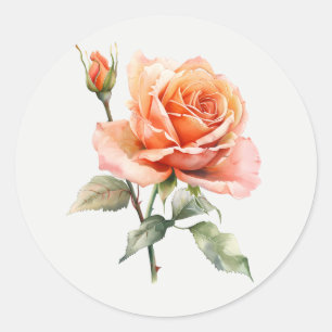 Pegatina Redonda Hermoso jardín de flores de rosa de melocotón arte