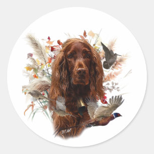 Pegatina Redonda Hermoso Red Setter Irlandés