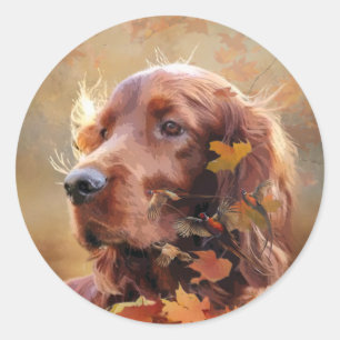 Pegatina Redonda Hermoso Red Setter Irlandés