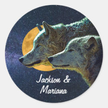 Hermosos lobos grises de noche