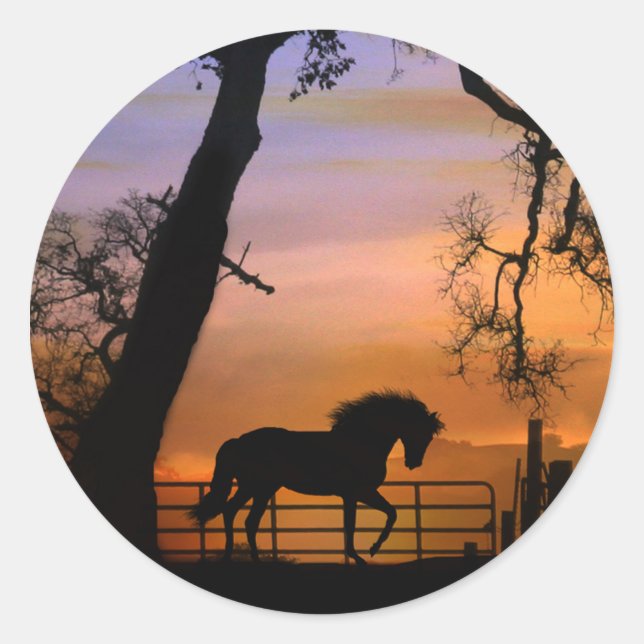 Pegatina Redonda Hermosos Pegatinas de caballos (Anverso)