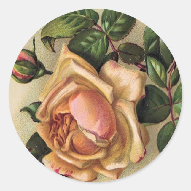 Pegatina Redonda *Hermosos Rosas de época* (Anverso)