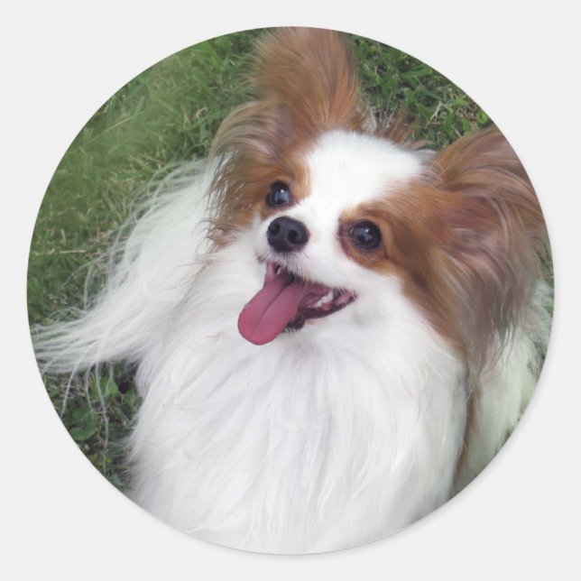 Pegatina Redonda Hershey Kiss Hero Madi Merchandise (Anverso)