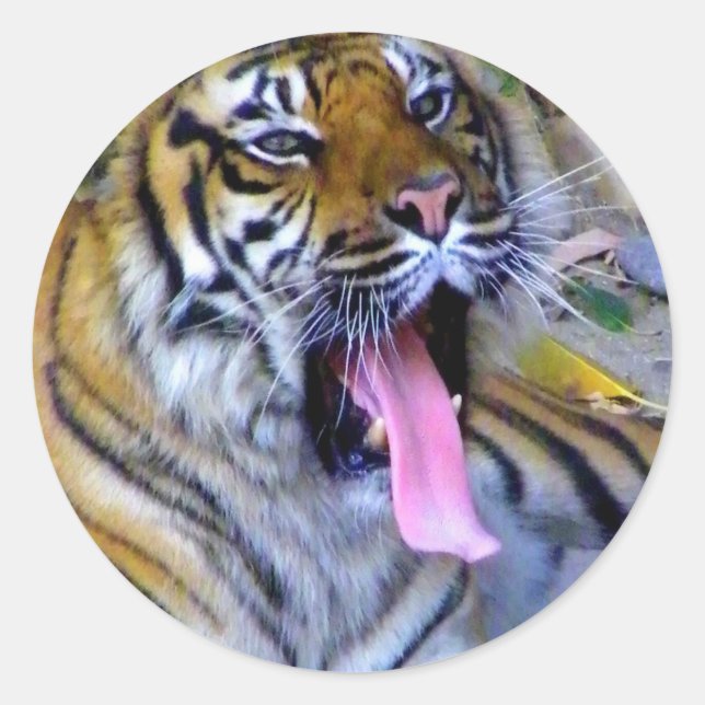 Pegatina Redonda Hey_ (Anverso)