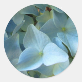 Pegatina Redonda Hidrangea Azul Flores Flores Florales Foto
