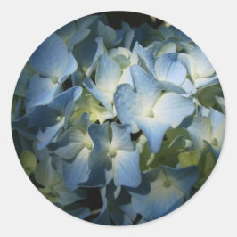 Pegatina Redonda Hidrangea Azul Flores Flores Florales Foto