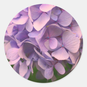 Pegatina Redonda Hidrangea dulce Flor