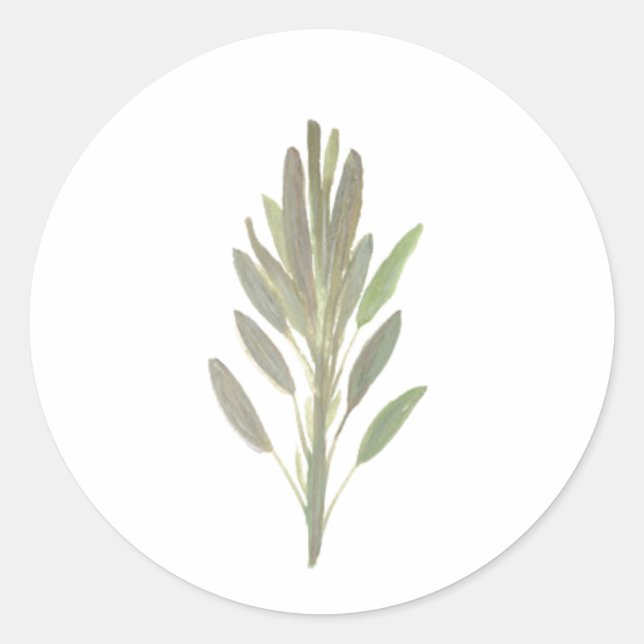 Pegatina Redonda Hierba de salvia vegetación botánica (Anverso)