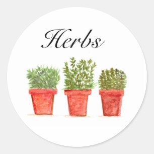 Pegatina Redonda Hierbas acuáticas Thyme Rosemary Oregano Planta Po