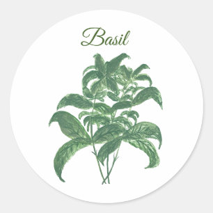 Pegatina Redonda Hierbas de Basil Verdor Cocina Planta Verde