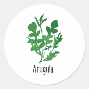 Pegatina Redonda Hierbas de las especias de Arugula