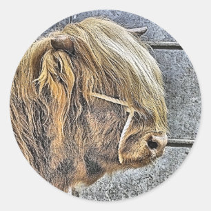 PEGATINA REDONDA HIGHLAND COW