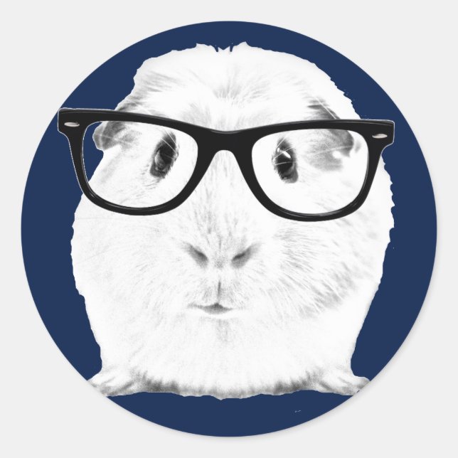 Pegatina Redonda Hipster Pigster (Anverso)