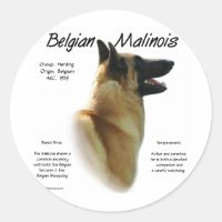Historia belga malinois; todo sobre Malinois