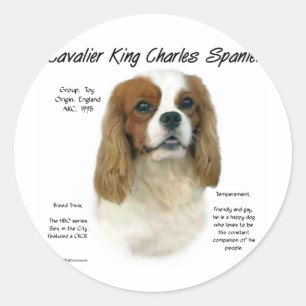 Pegatina Redonda Historia de Cavalier King Charles Spaniel (Blenhei