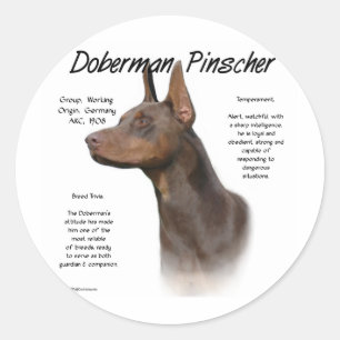 Pegatina Redonda Historia de Doberman Rojo