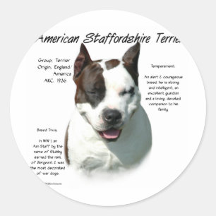 Pegatina Redonda Historia Terrier de American Staffordshire,