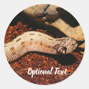 Pegatina Redonda Hognose Mascota Snake
