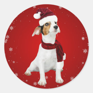 Pegatina Redonda Hoja adhesiva navideña de perro de Santa