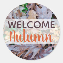 Pegatina Redonda Hojas caídas otoñales follaje marrón