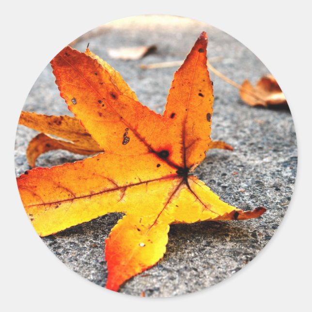 Pegatina Redonda Hojas de Fuego (Anverso)