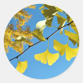 Pegatina Redonda Hojas de Ginkgo en Otoño