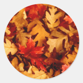 Pegatina Redonda Hojas de otoño - Color de otoño