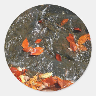 Pegatina Redonda Hojas de otoño en cascada I Fotografía de otoño