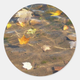 Pegatina Redonda Hojas de otoño en la fotografía de la naturaleza d