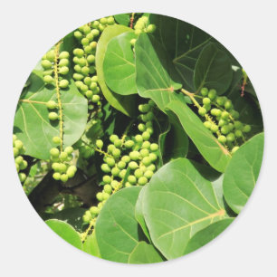 Pegatina Redonda Hojas de uva marina y bayas