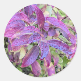Pegatina Redonda Hojas moradas en pegatinas