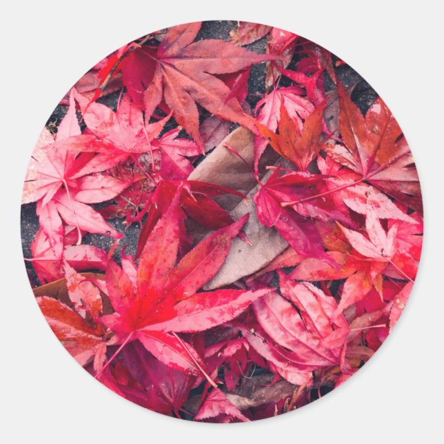 Pegatina Redonda Hojas rojas de otoño (Anverso)