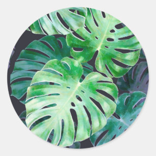 Pegatina Redonda Hojas tropicales de Monstera