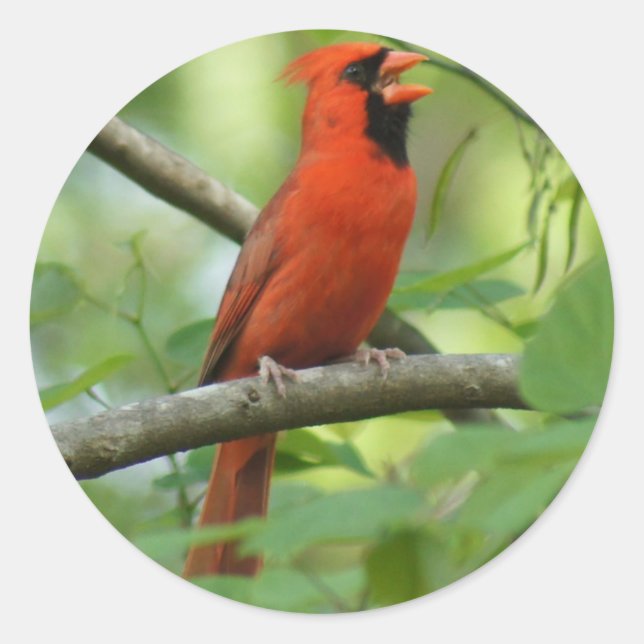 Pegatina Redonda ¡Hola! (Anverso)