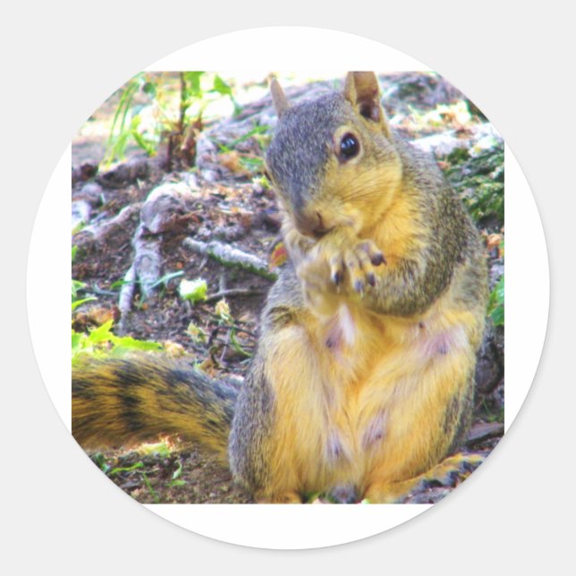 Pegatina Redonda Hola_ (Anverso)