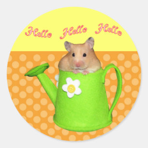 Pegatina Redonda Hola hamster