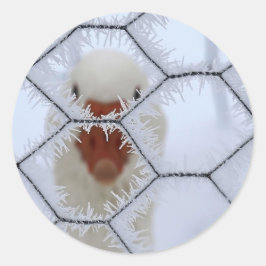 Pegatina Redonda ¡Hola! Pato detrás de la valla congelada