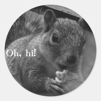 Pegatina Redonda ¡Hola, Sr. Squirrel!