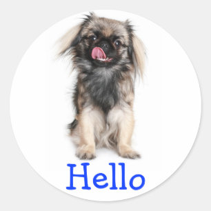 Pegatina Redonda Hola Sticker de saludo de cachorro de perro pequin