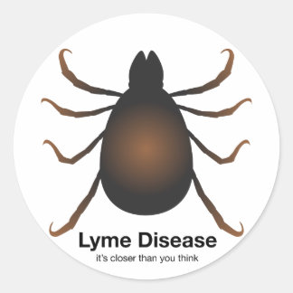 Pegatina Redonda Hola vecino