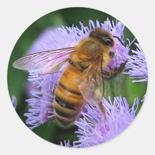 Pegatina Redonda Honey Bee