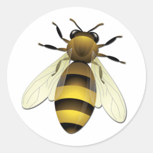 Pegatina Redonda Honey Bee