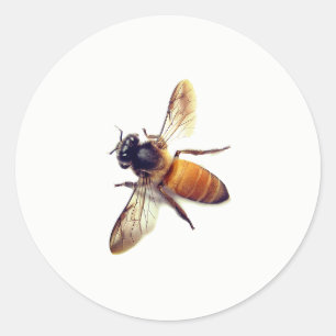 Pegatina Redonda Honey Bee