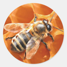 Pegatina Redonda Honey Bee
