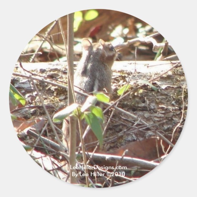 Pegatina Redonda Hot Springs Mountain, Regalos de Chipmunk de Arkan (Anverso)