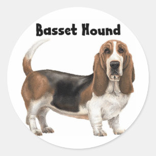 Pegatina Redonda Hound Basset