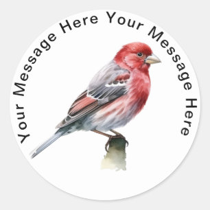 Pegatina Redonda House Finch